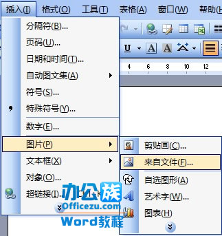 Word2003еֿ滻ΪͼƬķ