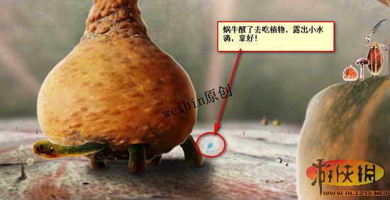 ֲﾫ顷Ϸͼ
