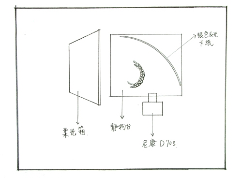 㼼֮Լ