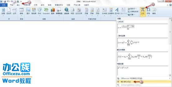 word2010ʽܣƹʽ
