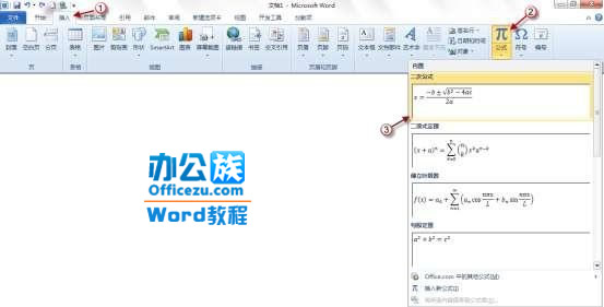 word2010ʽܣƹʽ