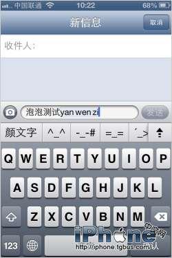 iPhone5Сɴȫ
