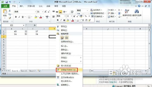 Excel 2010ôԪ