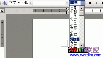 Word2003С