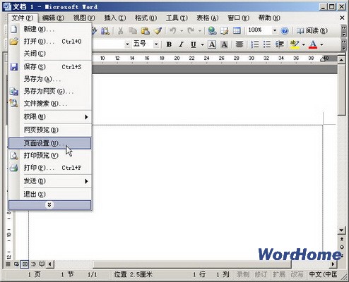 Word 2003ֽŴС