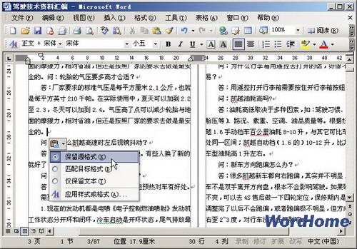 word2003θճı