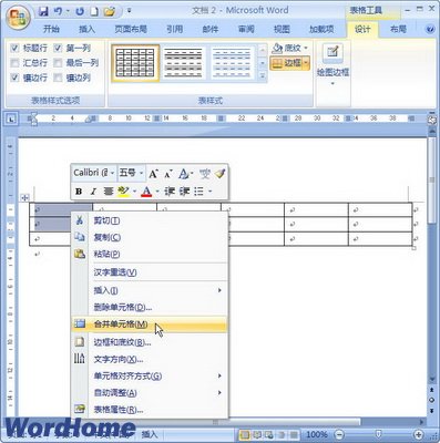Word2007ϲԪ