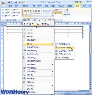 Word2007ڱвк