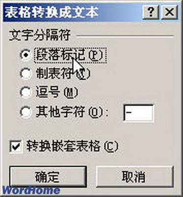 Word2007תΪı
