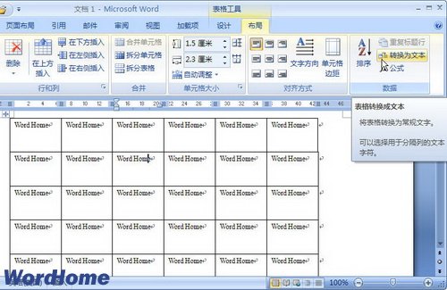 Word2007תΪı