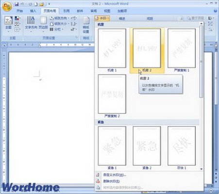 Word2007ɾˮӡ