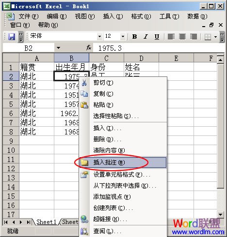 Excel 2003ӵԪע