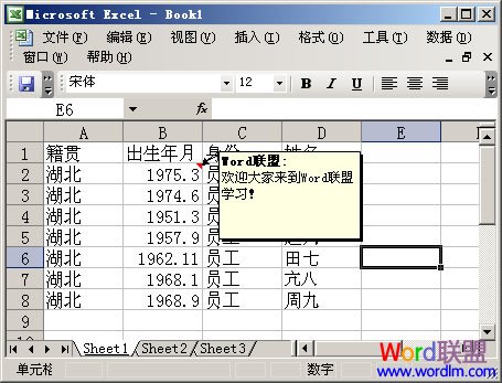 Excel 2003ӵԪע