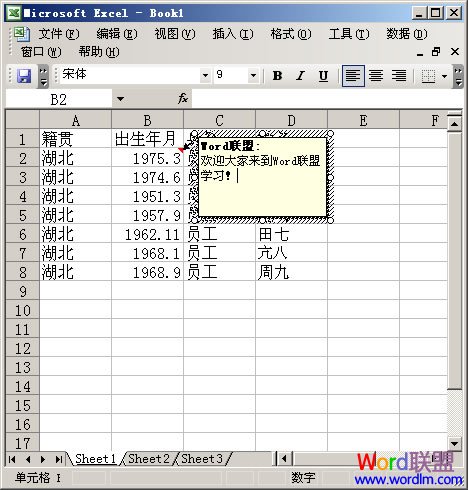 Excel 2003ӵԪע
