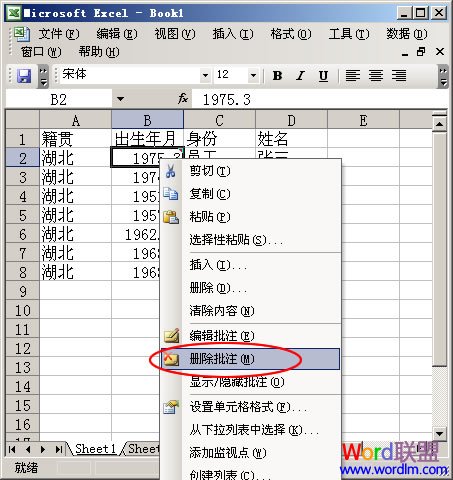 Excel 2003ӵԪע