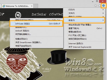 IE10 InPrivate ˽ģʽʹ