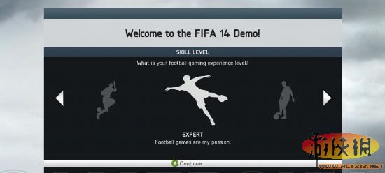 fifa 14ͼָ