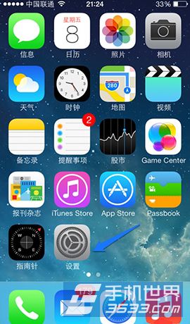 iPhone5sθָ