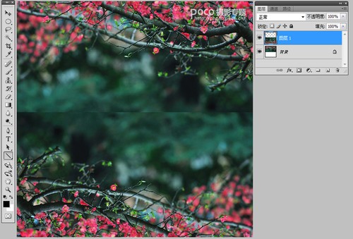 PhotoshopӰƷ