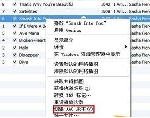 iPhone5SҪô