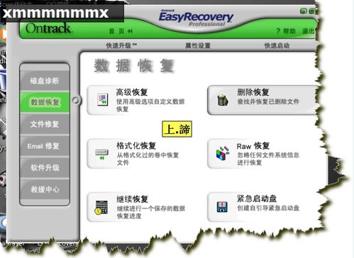 Ҫһ EasyRecoveryָļ 