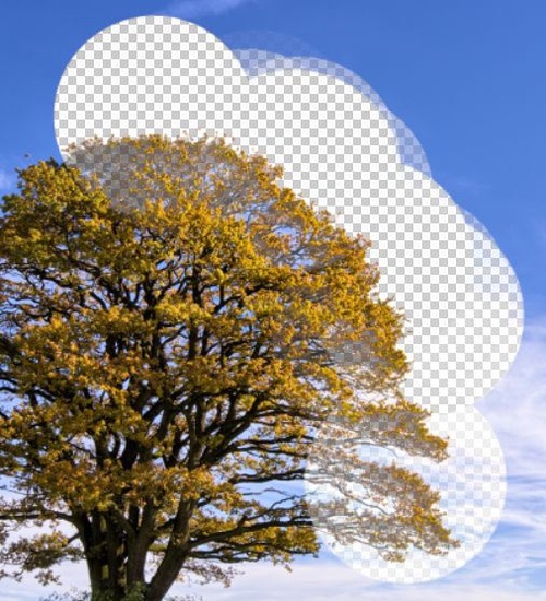 psʵý̳̣ƤҲܿͼ