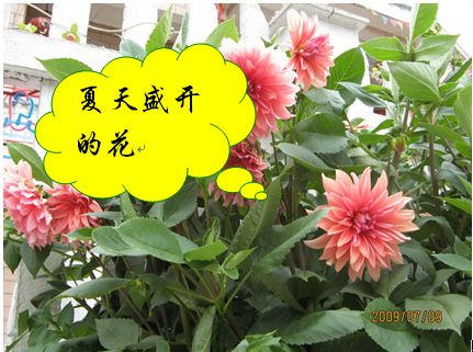 wordͼƬͼ