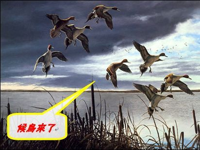 wordͼƬͼ