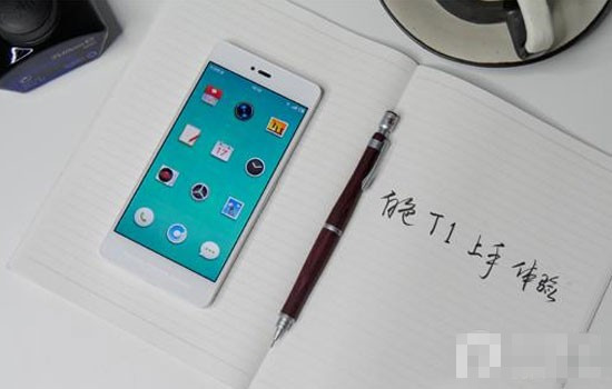 T1ɫôû鱨
