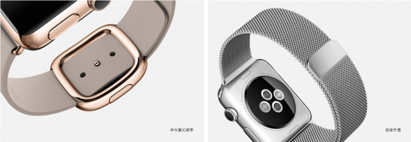 Apple Watchϸȫع