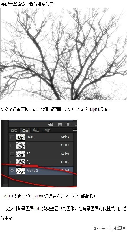 photoshopͼ̳ PSôͼ