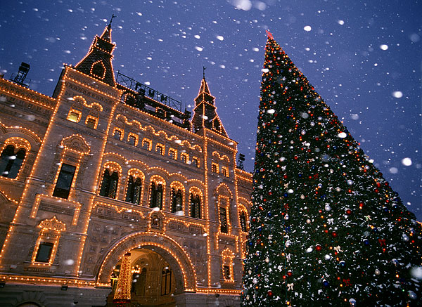 2015ʥȥ
