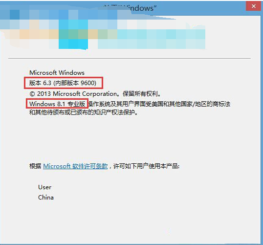 Win8ϵͳôѯ汾