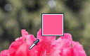 ôʹPPTõƬȡɫ
