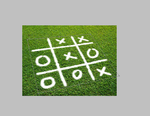PS֮OOXXƺ