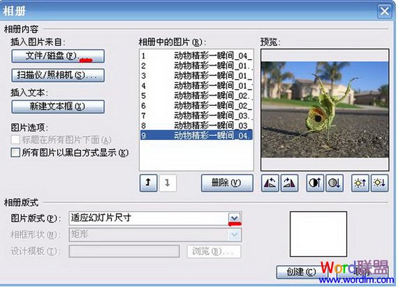 ๦!ٽѧʹPowerPoint̳