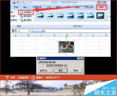 壬excelͼƬģô?