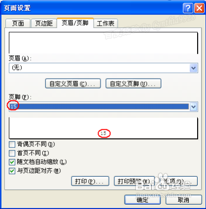 用起来!Excel2007怎么设置自定义页码