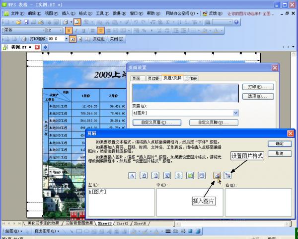 WPS2010ôΪͼα