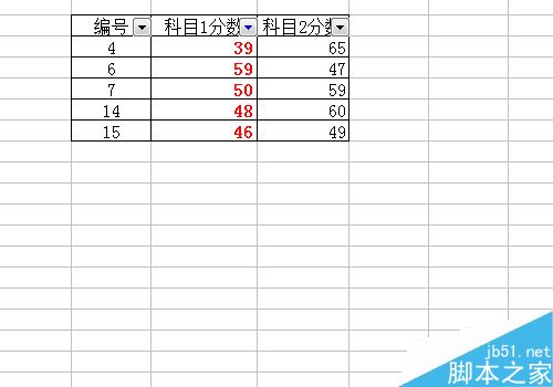 excelɸѡʽ÷
