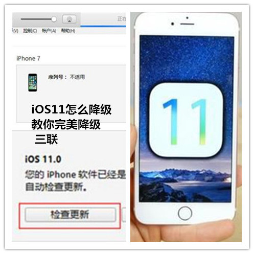 iOS11ô